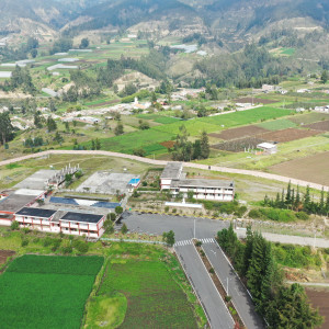dji