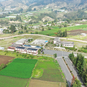 dji