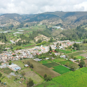 dji