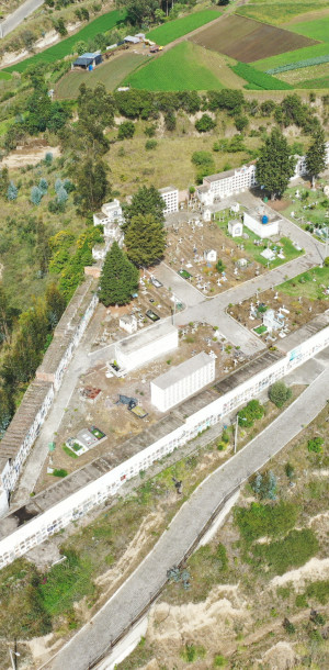 dji
