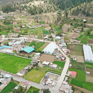 dji