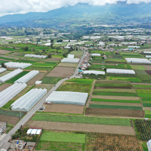 dji