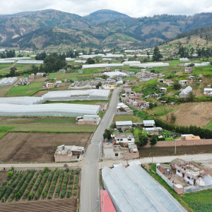 dji