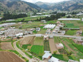 dji