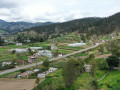 dji