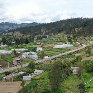 dji