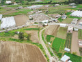 dji