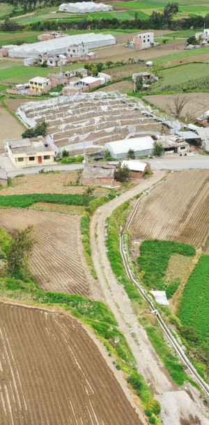 dji