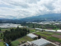 dji
