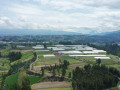 dji