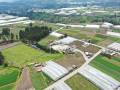 dji
