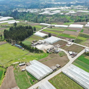 dji