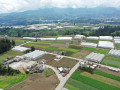 dji