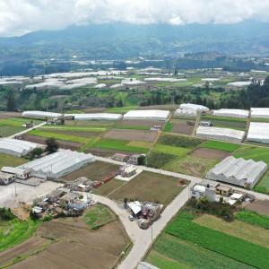 dji