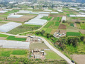 dji