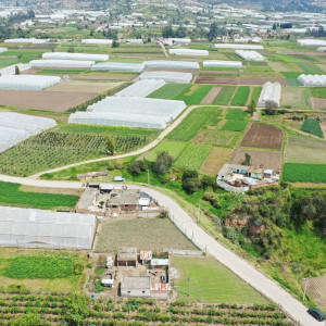 dji