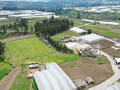 dji