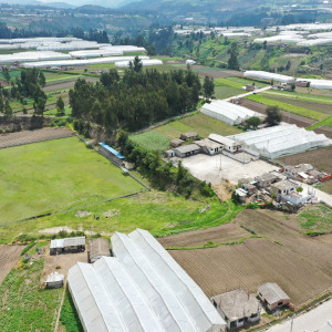 dji