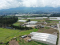 dji