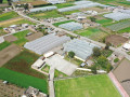 dji