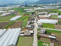dji