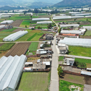 dji