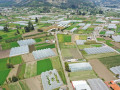 dji