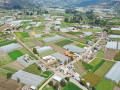 dji