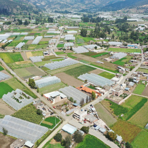 dji