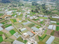 dji