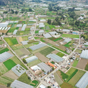 dji