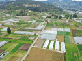 dji