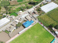 dji