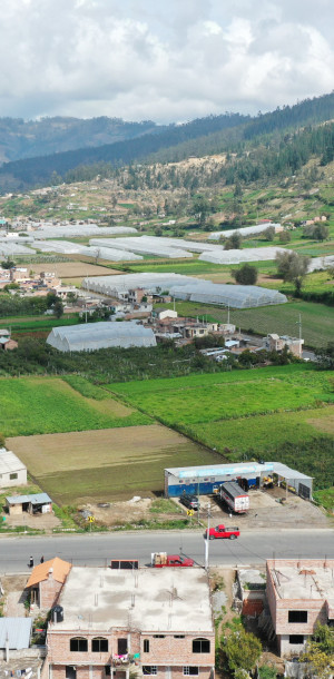 dji