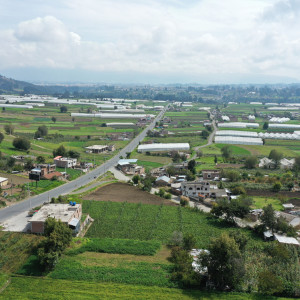 dji