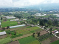 dji