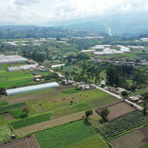 dji