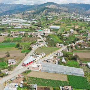 dji