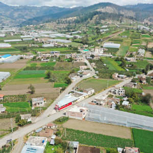 dji