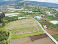 dji