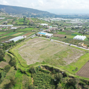 dji