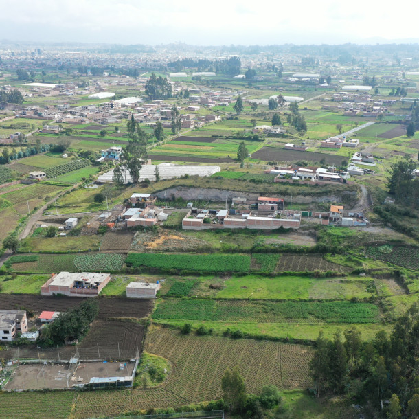 dji