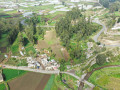 dji