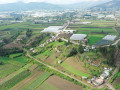 dji